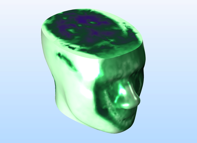 人脑的比吸收率 (SAR)